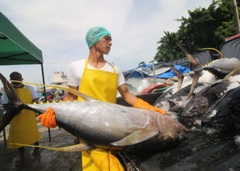 IOTC Apresiasi Indonesia dalam Pengelolaan Tuna Berkelanjutan