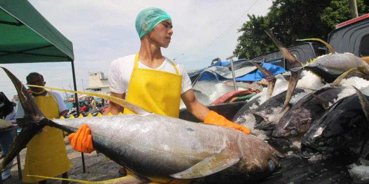 IOTC Apresiasi Indonesia dalam Pengelolaan Tuna Berkelanjutan