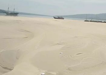 Pakar IPB University Temukan Adanya Kelimpahan Fitoplankton di Teluk Bima