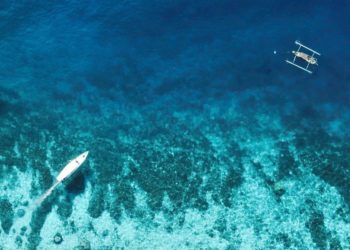 WWF Serukan Finalisasi Traktat Global untuk Perlindungan Laut Lepas 1
