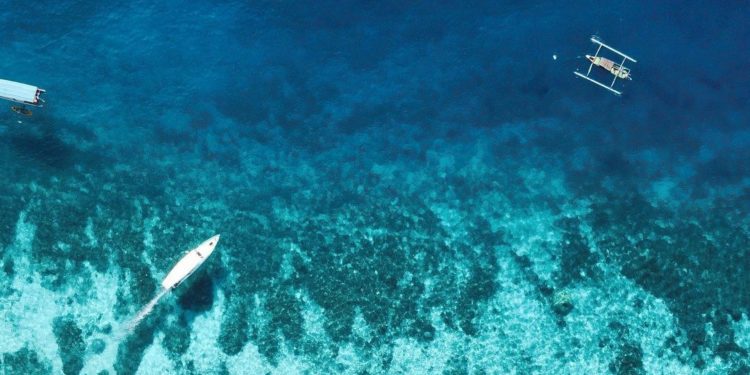 WWF Serukan Finalisasi Traktat Global untuk Perlindungan Laut Lepas 1