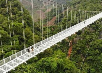 Jembatan Kaca di Vietnam Jadi Daya Tarik Wisata Baru di Asia Tenggara 