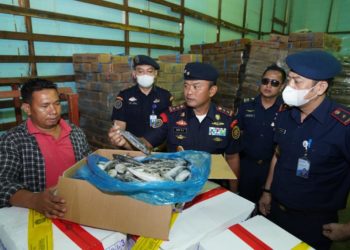 Indonesia Sita 4,7 Ton Ikan Impor Ilegal Asal China dan Malaysia
