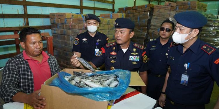Indonesia Sita 4,7 Ton Ikan Impor Ilegal Asal China dan Malaysia