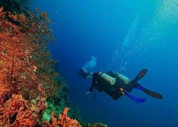 CLIMATE ACTION: Indonesia dan Norwegia Kerja Sama Konservasi Laut 1