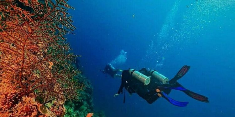 CLIMATE ACTION: Indonesia dan Norwegia Kerja Sama Konservasi Laut 1