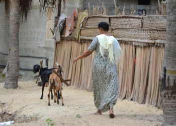 WFP Tingkatkan Dukungan Darurat di Sri Lanka, Mulai dari Ibu Hamil 1