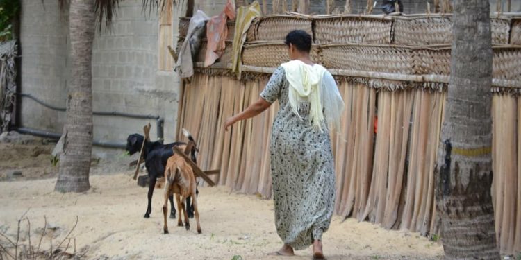 WFP Tingkatkan Dukungan Darurat di Sri Lanka, Mulai dari Ibu Hamil 1