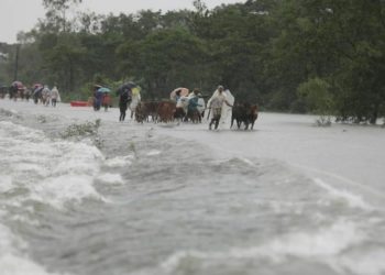 Bangladesh Menangis, Bencana Banjir Renggut 15 Korban Jiwa 1