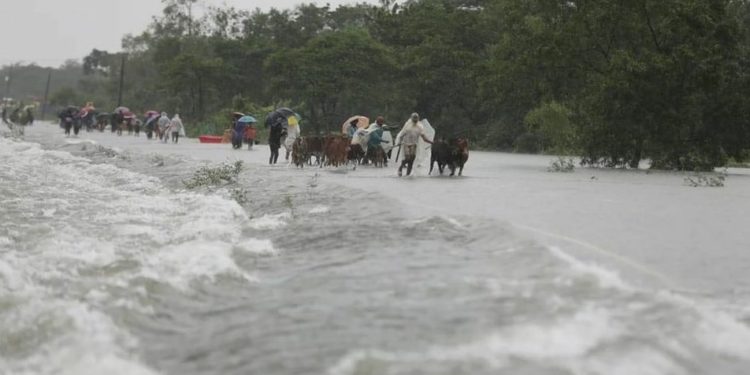Bangladesh Menangis, Bencana Banjir Renggut 15 Korban Jiwa 1