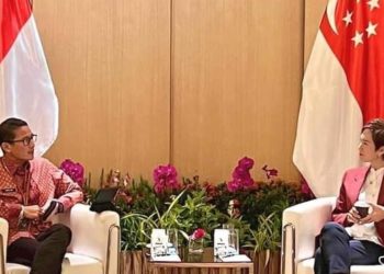Indonesia dan Singapura Siap Perkuat Konektivitas Digital
