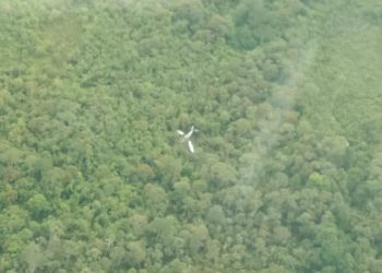 Susi Air Crash, Airnav Pastikan Pilot dan Penumpang Selamat
