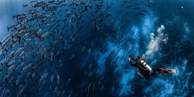7 Taman Nasional Laut di Indonesia, Keindahannya Diakui Dunia 1