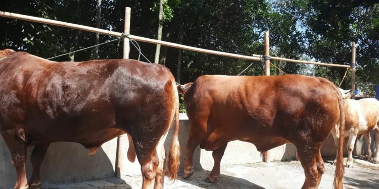 3 Pelajaran Utama Hari Raya Kurban atau Idul Adha 1