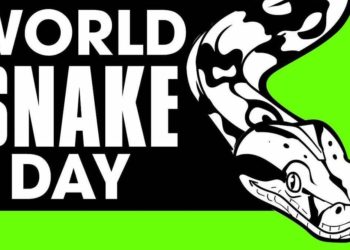 World Snake Day: Mengapa Ular Penting Bagi Ekosistem Alam Liar?