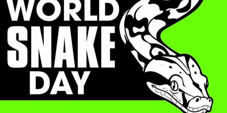 World Snake Day: Mengapa Ular Penting Bagi Ekosistem Alam Liar?