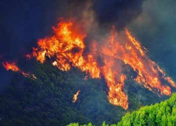BENCANA IKLIM: Yunani Dilanda Kebakaran Hutan Skala Besar 2