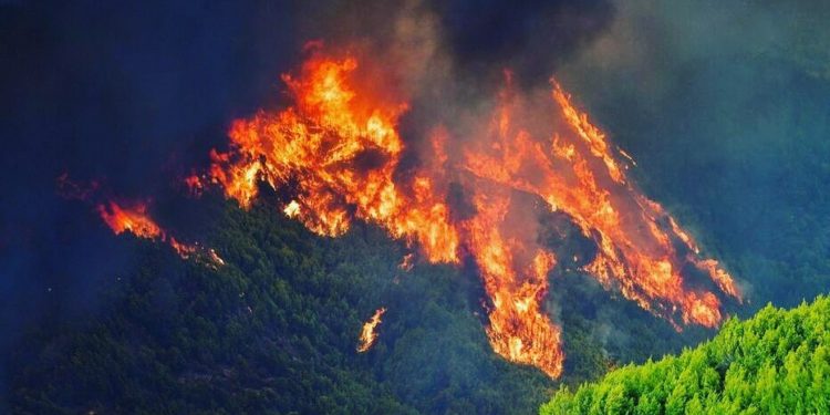 BENCANA IKLIM: Yunani Dilanda Kebakaran Hutan Skala Besar 1