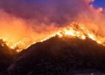 Dipicu Kekeringan dan Suhu Panas, California Dikepung Kebakaran Hutan 1
