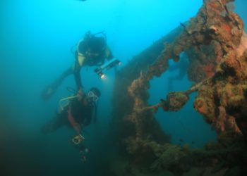 Pesona Bawah Laut Mandeh, dari Bangkai Kapal Boelongan hingga Keanekaragaman Hayati  