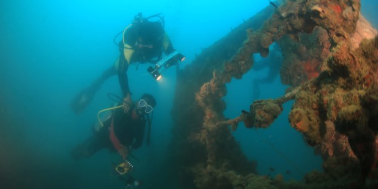 Pesona Bawah Laut Mandeh, dari Bangkai Kapal Boelongan hingga Keanekaragaman Hayati  