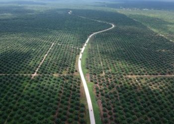 Indonesia Dirugikan Rp78 Triliun, Surya Darmadi Terus Diburu KPK dan Kejagung