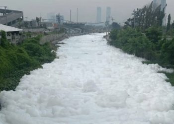 Sungai di Kota Surabaya Tercemar Limbah Detergent, Apa Bahayanya?