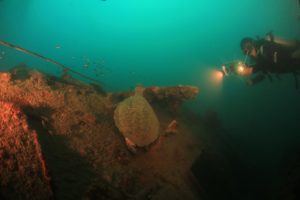 Pesona Bawah Laut Mandeh, dari Bangkai Kapal Boelongan hingga Keanekaragaman Hayati   1