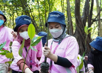 KT&G dan Sangsang Univ Indonesia Galakkan Konservasi Mangrove di Jakarta