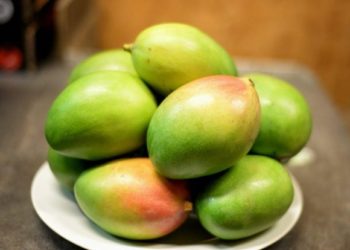 Ini Dia 7 Manfaat Buah Mangga untuk Tubuh
