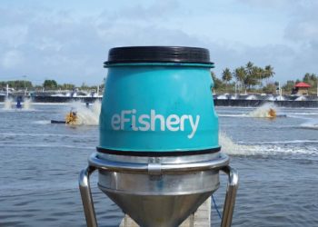 DBS Kucurkan Rp500 Miliar untuk eFishery, Startup Aquatech Pertama di Asia