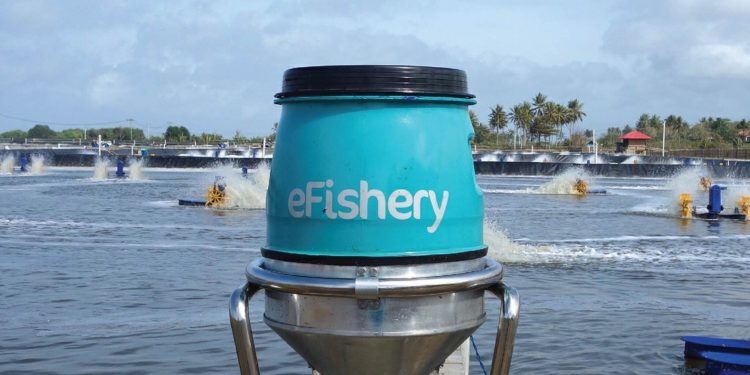 DBS Kucurkan Rp500 Miliar untuk eFishery, Startup Aquatech Pertama di Asia