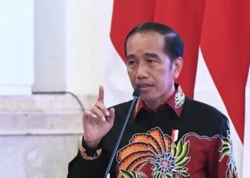 Indonesia Hadapi Ancaman Penjajahan Modern Melalui E-Commerce 1