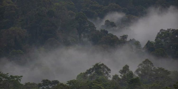 Dubes Indonesia untuk UNESCO Dukung Penuh Konservasi TN Gunung Leuser 1