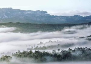 Tujuh Taman Nasional di Indonesia Masuk ASEAN Heritage Parks, Simak Keunikannya 8