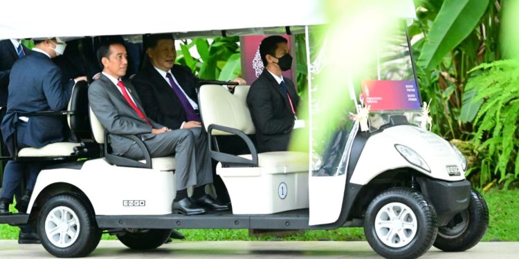Xi Jinping Dipanggil ‘Kakak Besar’ oleh Jokowi, Ada Apa?