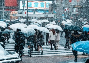 Hujan Salju Lebat di Jepang, 8 Orang Tewas 1