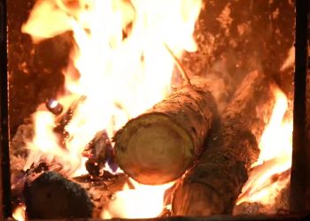 Jutaan Rakyat Prancis Gunakan Kayu Bakar Selama Musim Dingin