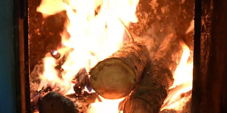 Jutaan Rakyat Prancis Gunakan Kayu Bakar Selama Musim Dingin