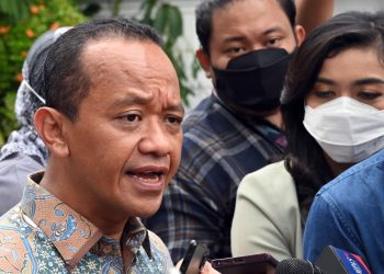 Pemerintah Indonesia akan Kaji Ulang Kontrak Freeport, Vale dan British Petroleum (BP)