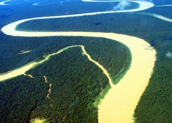 Brasil Tagih Janji Investasi Global untuk Melawan Deforestasi Hutan Amazon