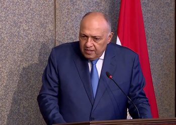 Mesir Desak Israel Aktifkan Kembali Proses Perdamaian dengan Palestina