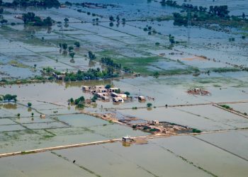 Risiko Global 2023: Krisis Biaya Hidup Memuncak dan Aksi Iklim Kian Mendesak