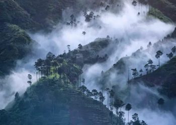Gunung Dieng Berstatus Waspada, Gas CO2 Meningkat