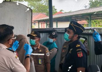 Bea Cukai Indonesia Musnahkan Ribuan Kilogram Makanan Kucing Impor dari China 2 Bea Cukai Indonesia Musnahkan Ribuan Kilogram Makanan Kucing Impor dari China
