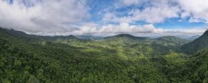 Target Ambisius China, Bangun Sistem Taman Nasional Terbesar di Dunia 2