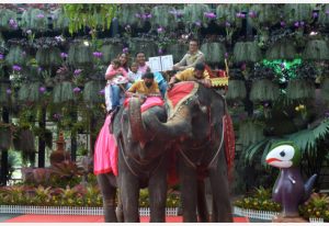 In Picture: Uniknya Pernikahan Massal di Atas Gajah pada Hari Valentine di Thailand 1