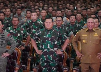 Panglima TNI: KKB di Papua Hanyalah Kelompok Preman