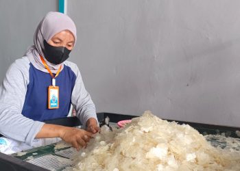 Produk Industri Sisik Ikan di Boyolali Tembus Pasar Jepang dan India, Omset Capai Rp50 Miliar