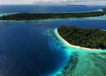 Indonesia Buka Peluang Investasi Global di Kawasan Teluk Cenderawasih 1